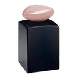 Prive Eclat de Jasmin